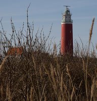 texel